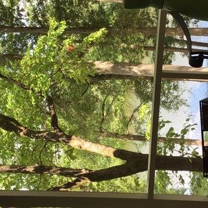 Meet your Posher, Ellen